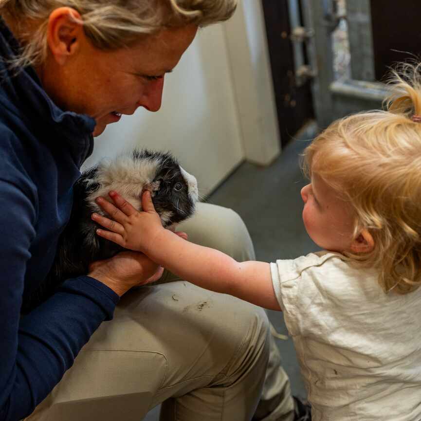 Kind aait cavia die vrouw vasthoudt