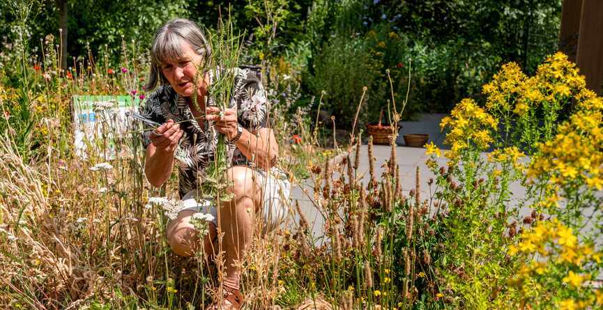 Vrouw tussen de bloemen